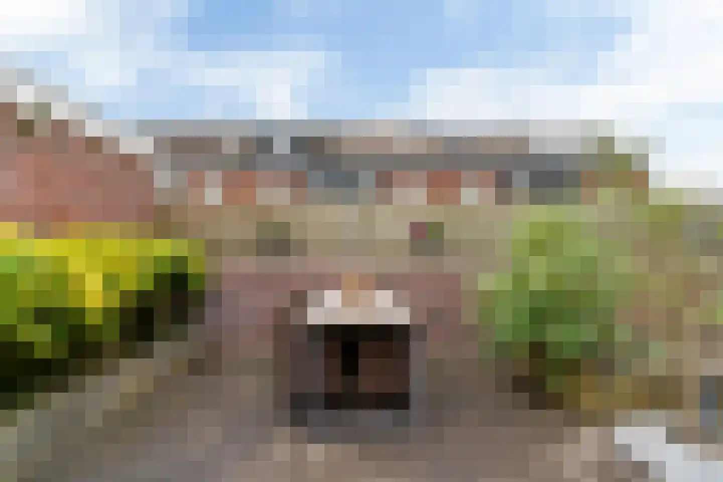 Van Goghhof 88 Hoorn thumbnail 35