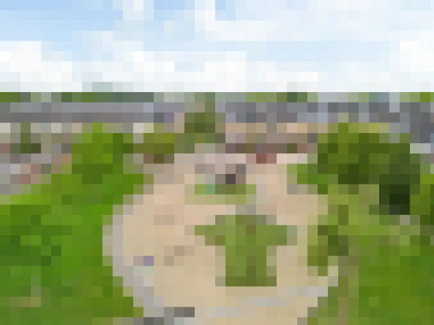 Van Goghhof 88 Hoorn thumbnail 41