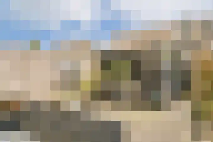 Van Goghhof 91 Hoorn thumbnail 18
