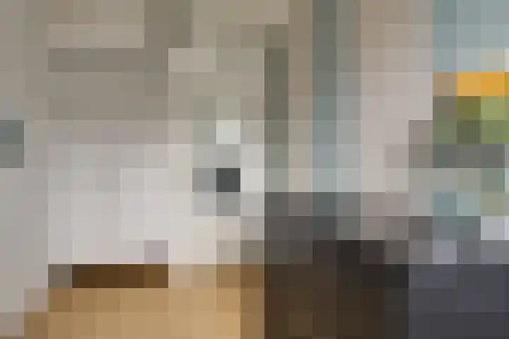 Van Goghhof 91 Hoorn thumbnail 22