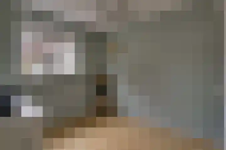 Van Goghhof 91 Hoorn thumbnail 25