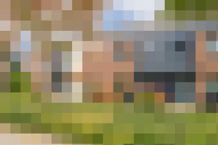 Van Goghhof 91 Hoorn thumbnail 37