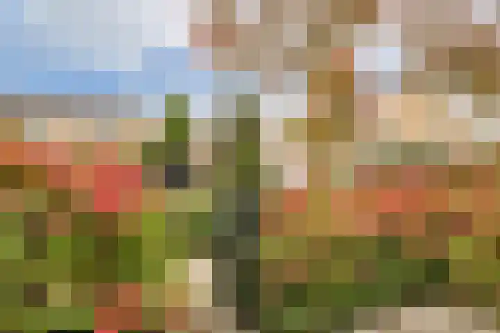 Van Goghhof 91 Hoorn thumbnail 38