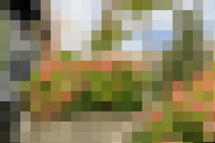 Van Goghhof 91 Hoorn thumbnail 39