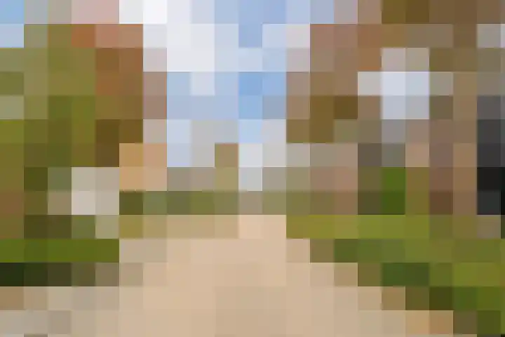Van Goghhof 91 Hoorn thumbnail 41