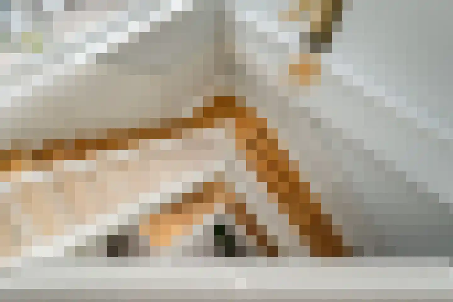 van Goghlaan 1 21 Hoogeveen thumbnail 17