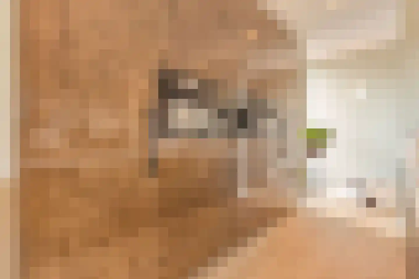 van Goghlaan 1 21 Hoogeveen thumbnail 33