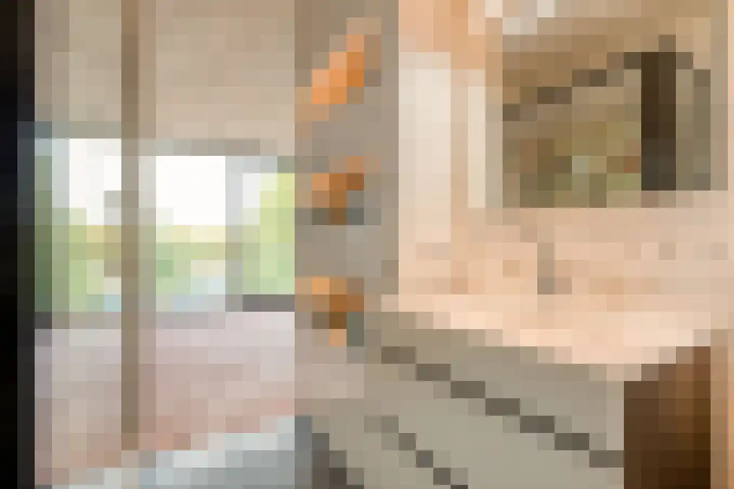 van Goghlaan 1 21 Hoogeveen thumbnail 52