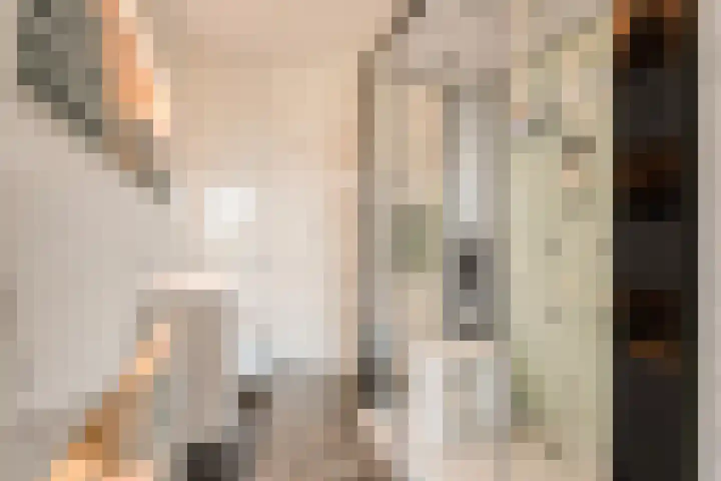 van Goghlaan 1 21 Hoogeveen thumbnail 53