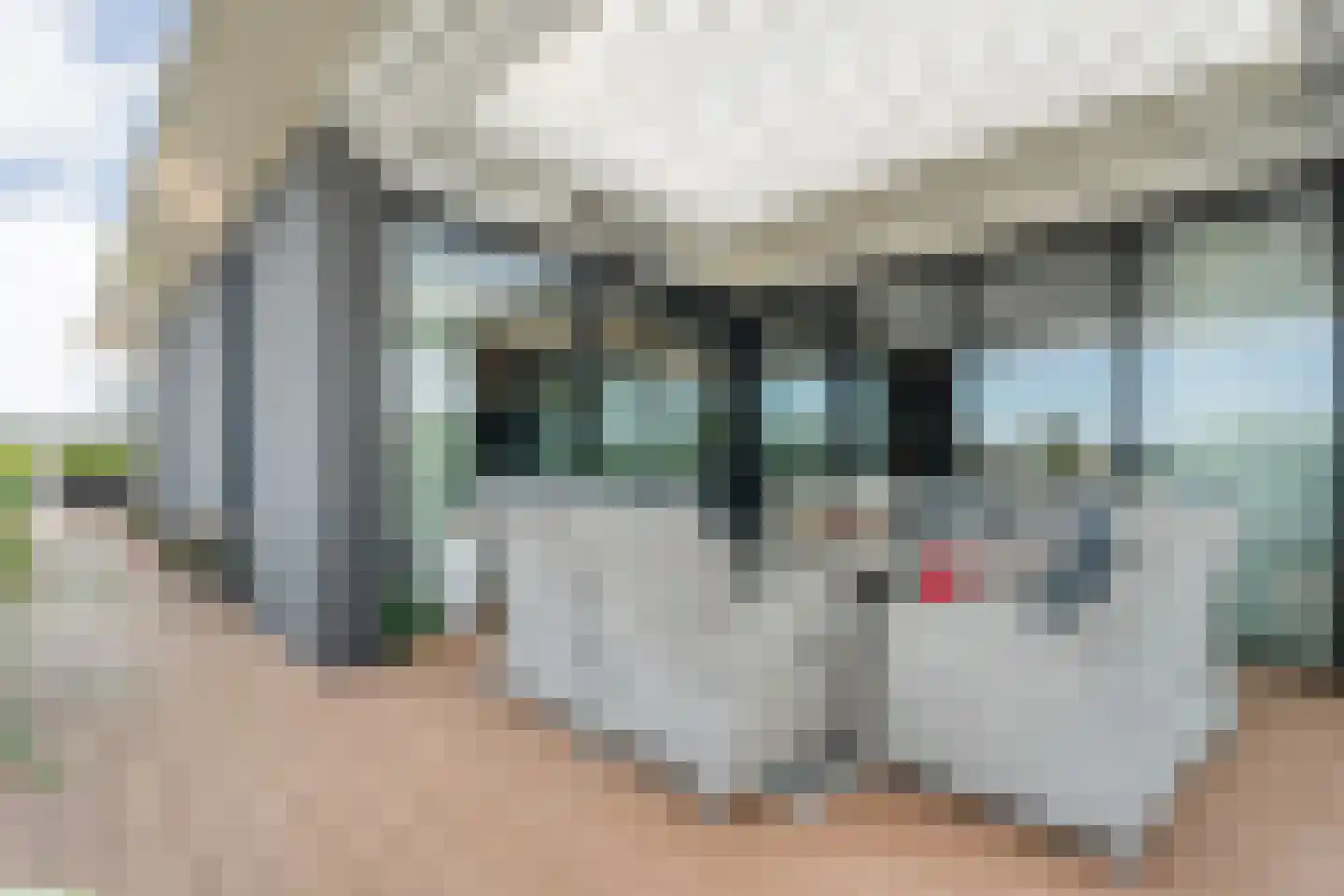 van Goghlaan 1 21 Hoogeveen thumbnail 58