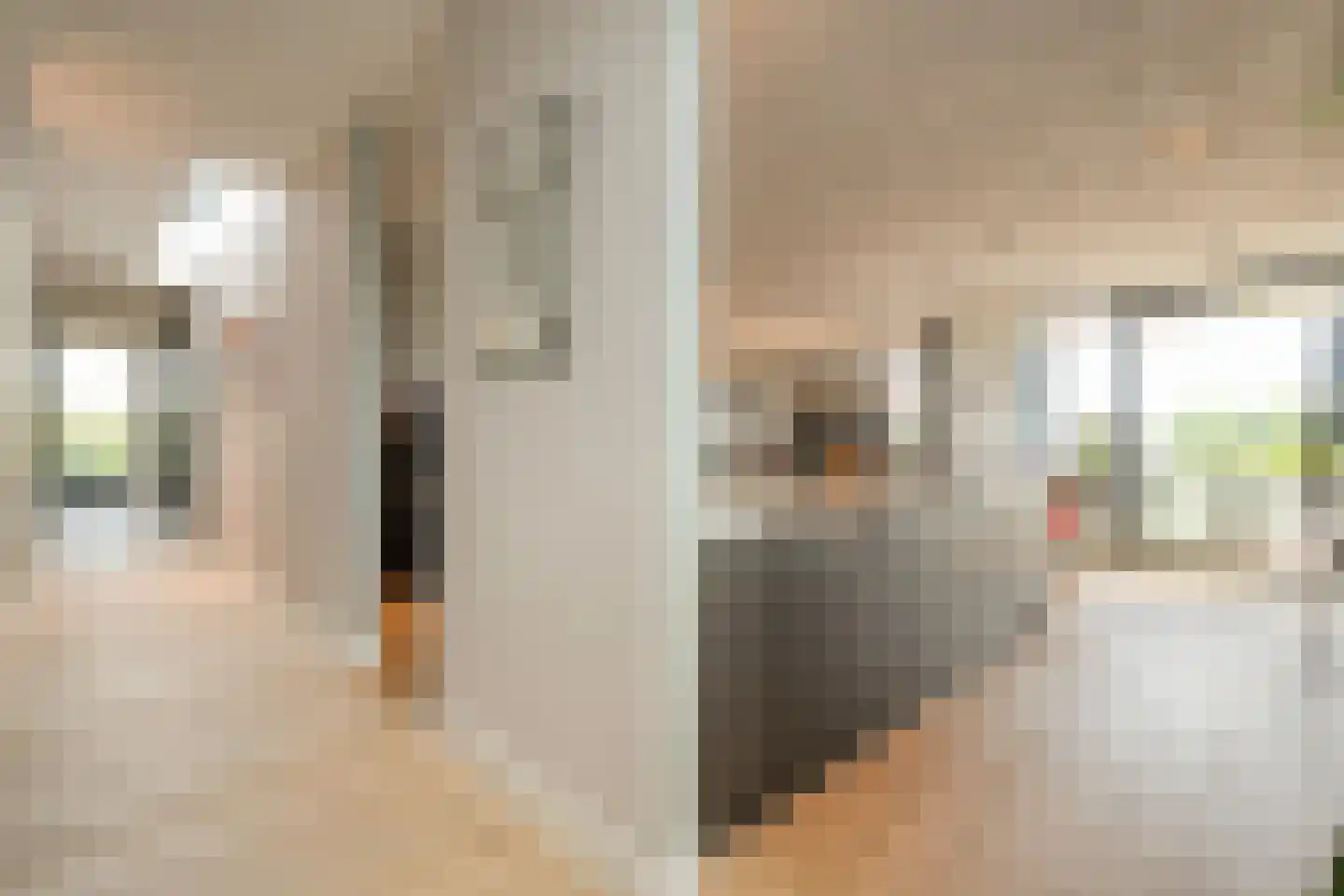 van Goghlaan 1 21 Hoogeveen thumbnail 8