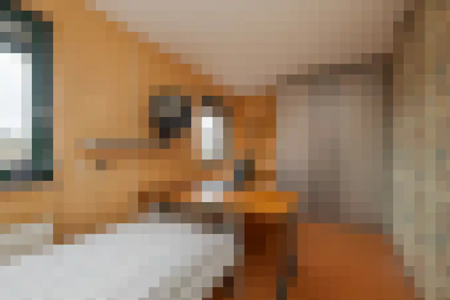 van Goghlaan 1 Bergschenhoek thumbnail 15