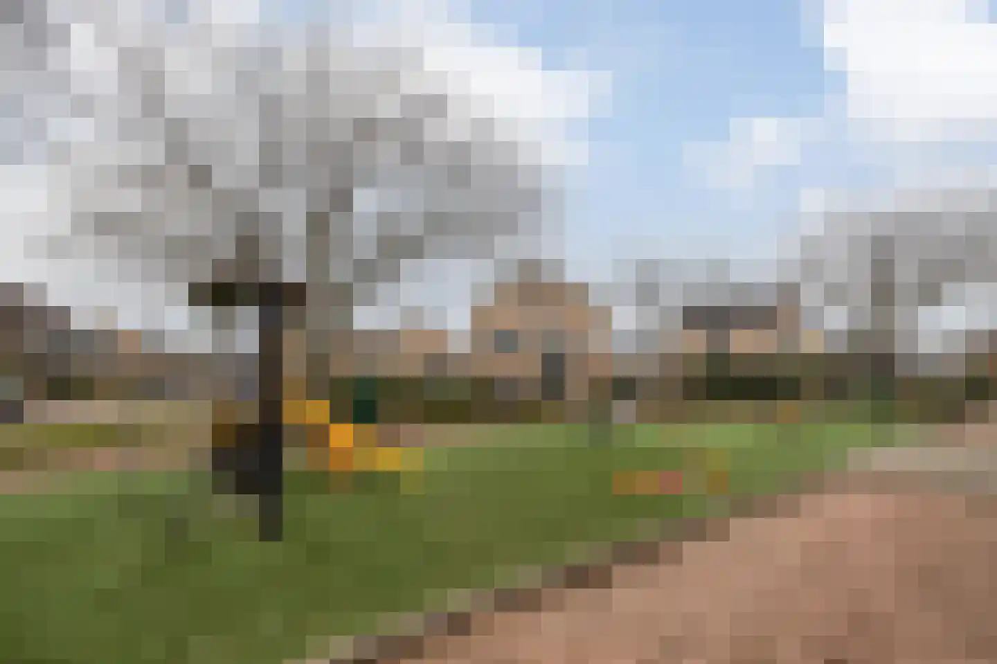 van Goghlaan 1 Bergschenhoek foto 2