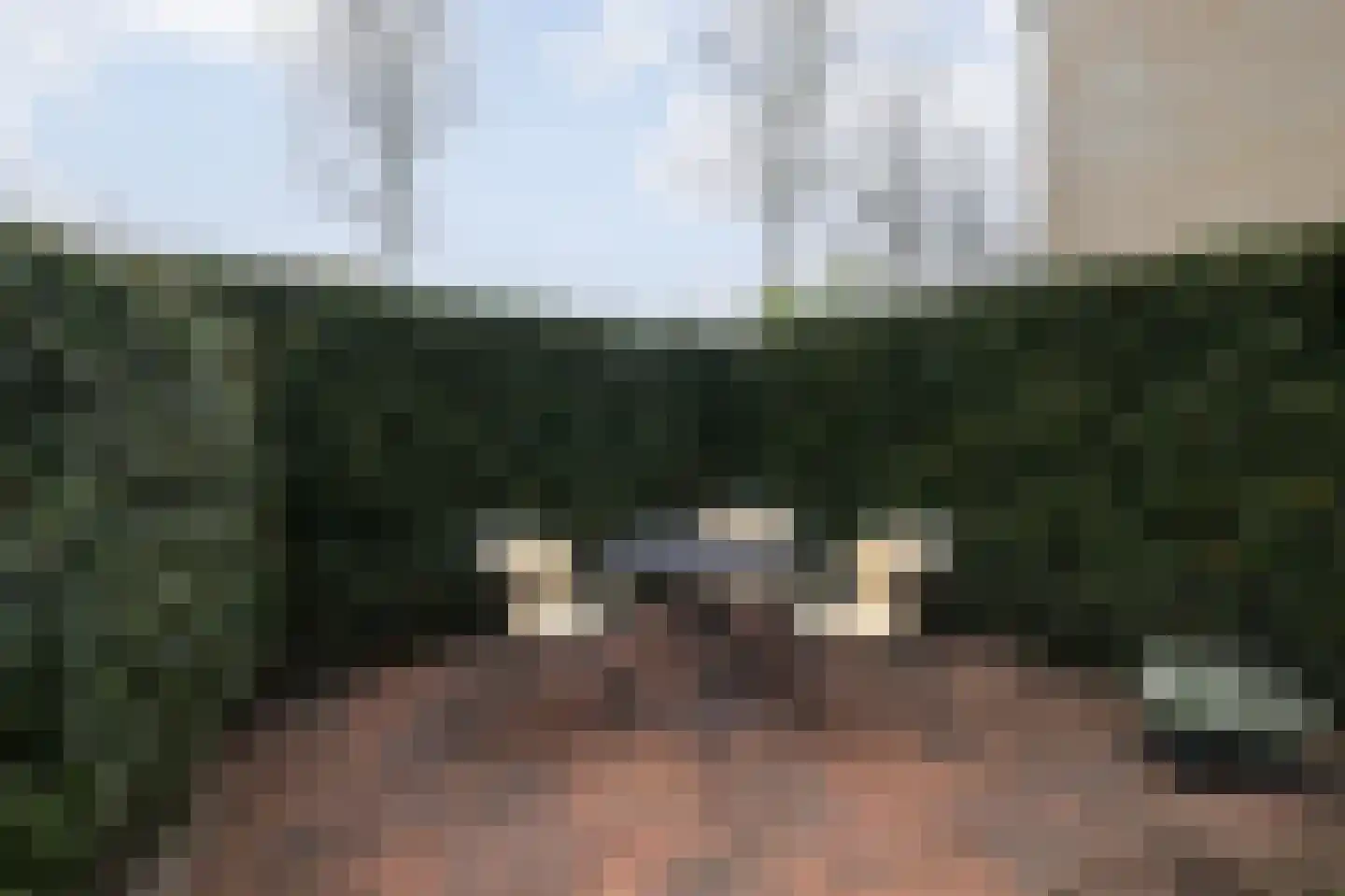 van Goghlaan 1 Bergschenhoek thumbnail 24