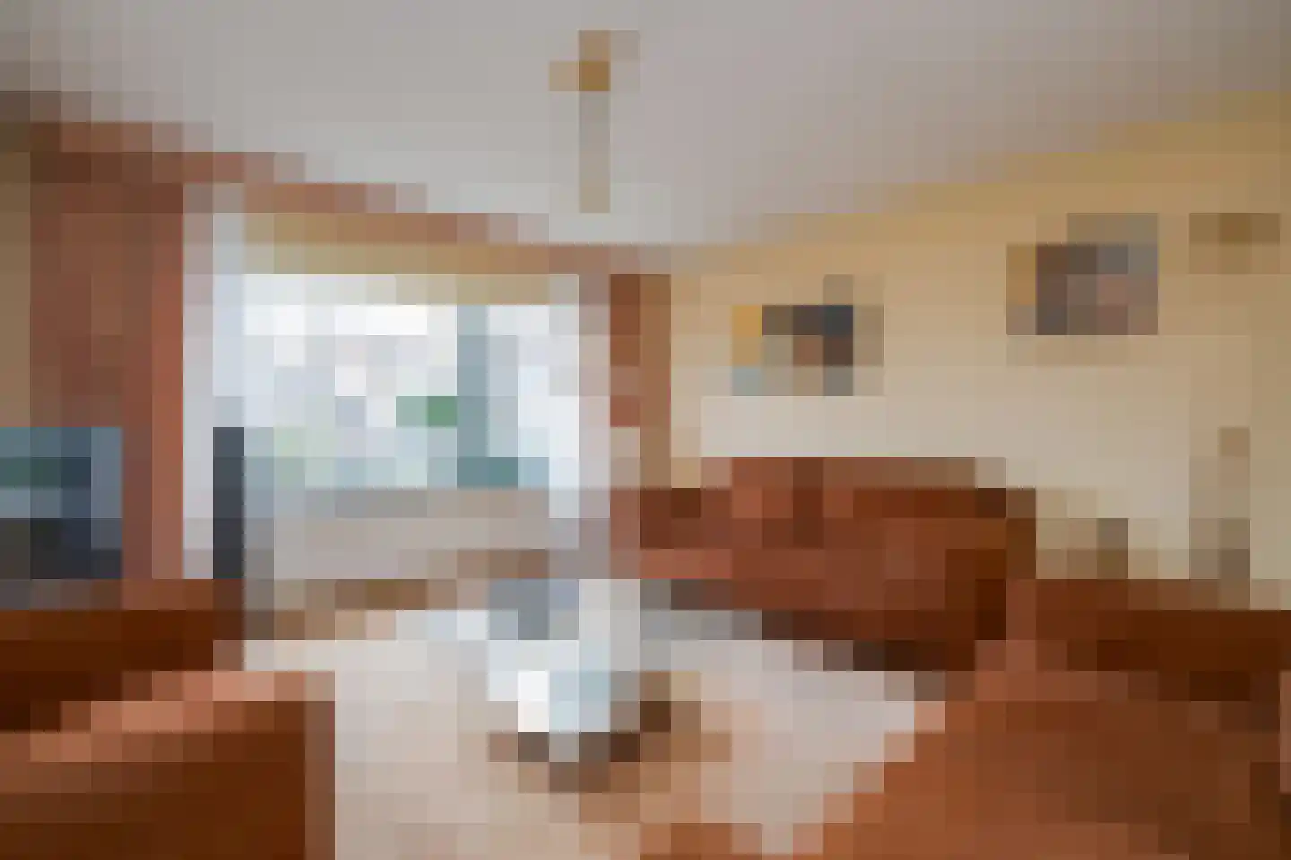 van Goghlaan 1 Bergschenhoek thumbnail 5