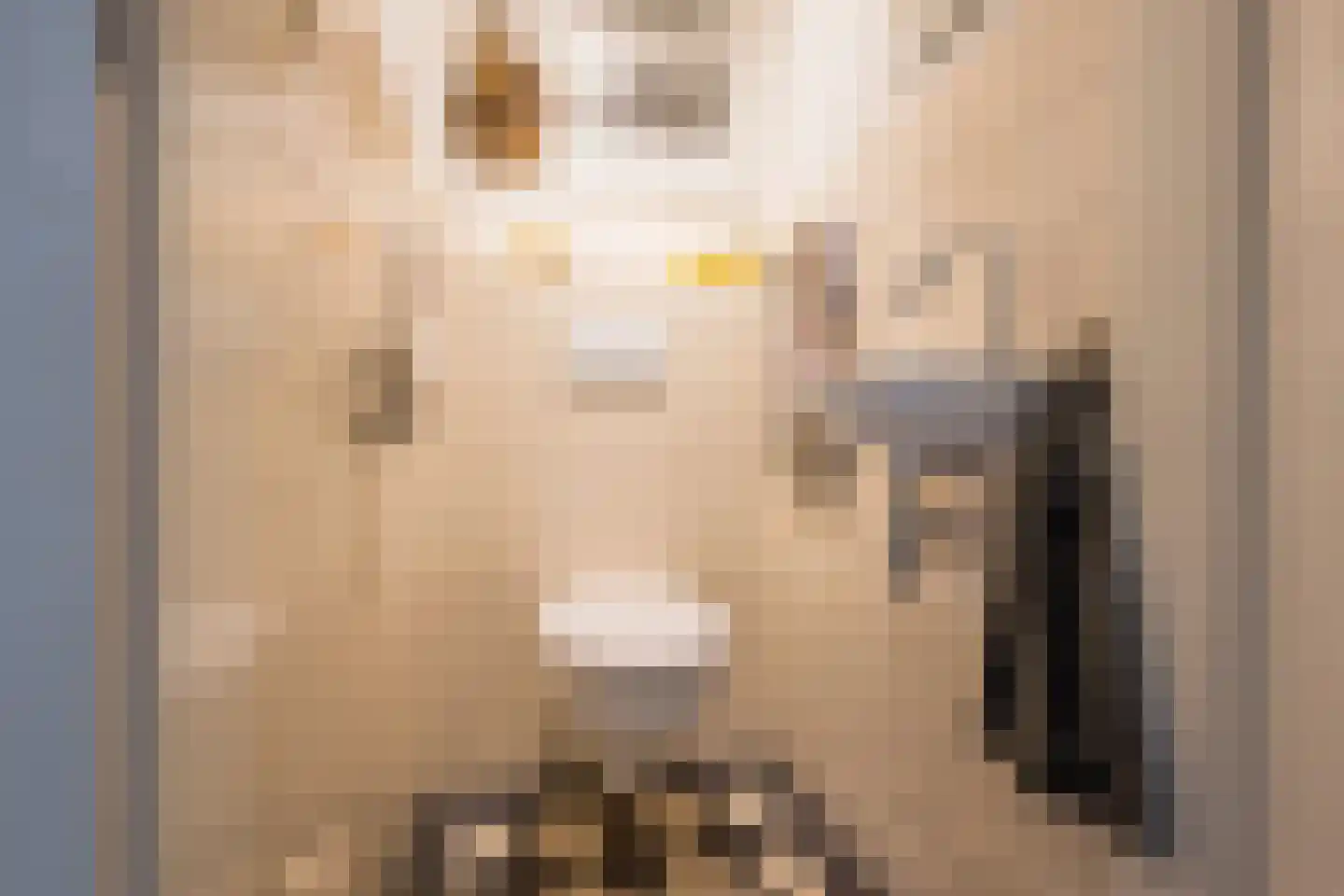 Van Goghlaan 1 Nijkerk thumbnail 12