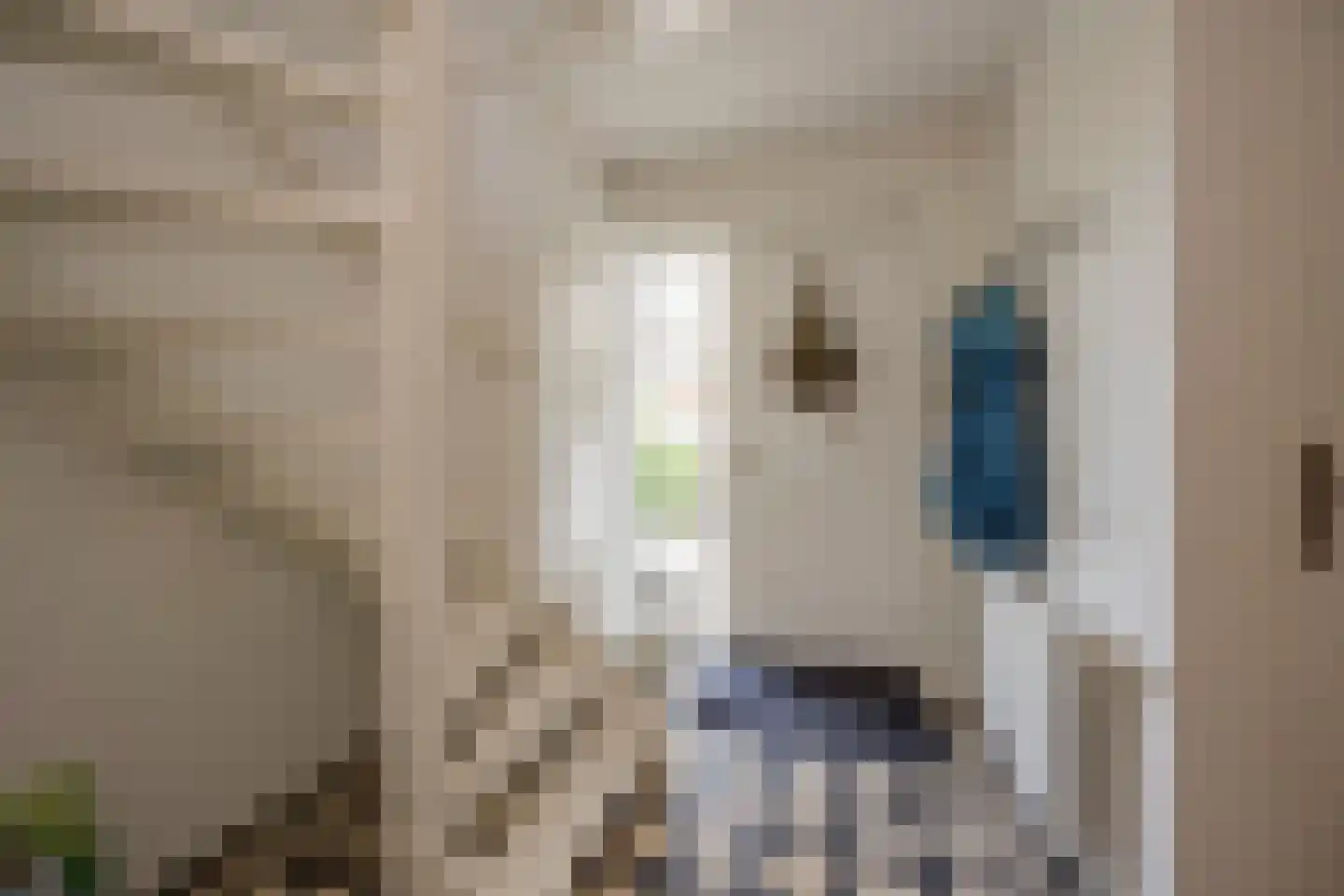 Van Goghlaan 1 Nijkerk thumbnail 13