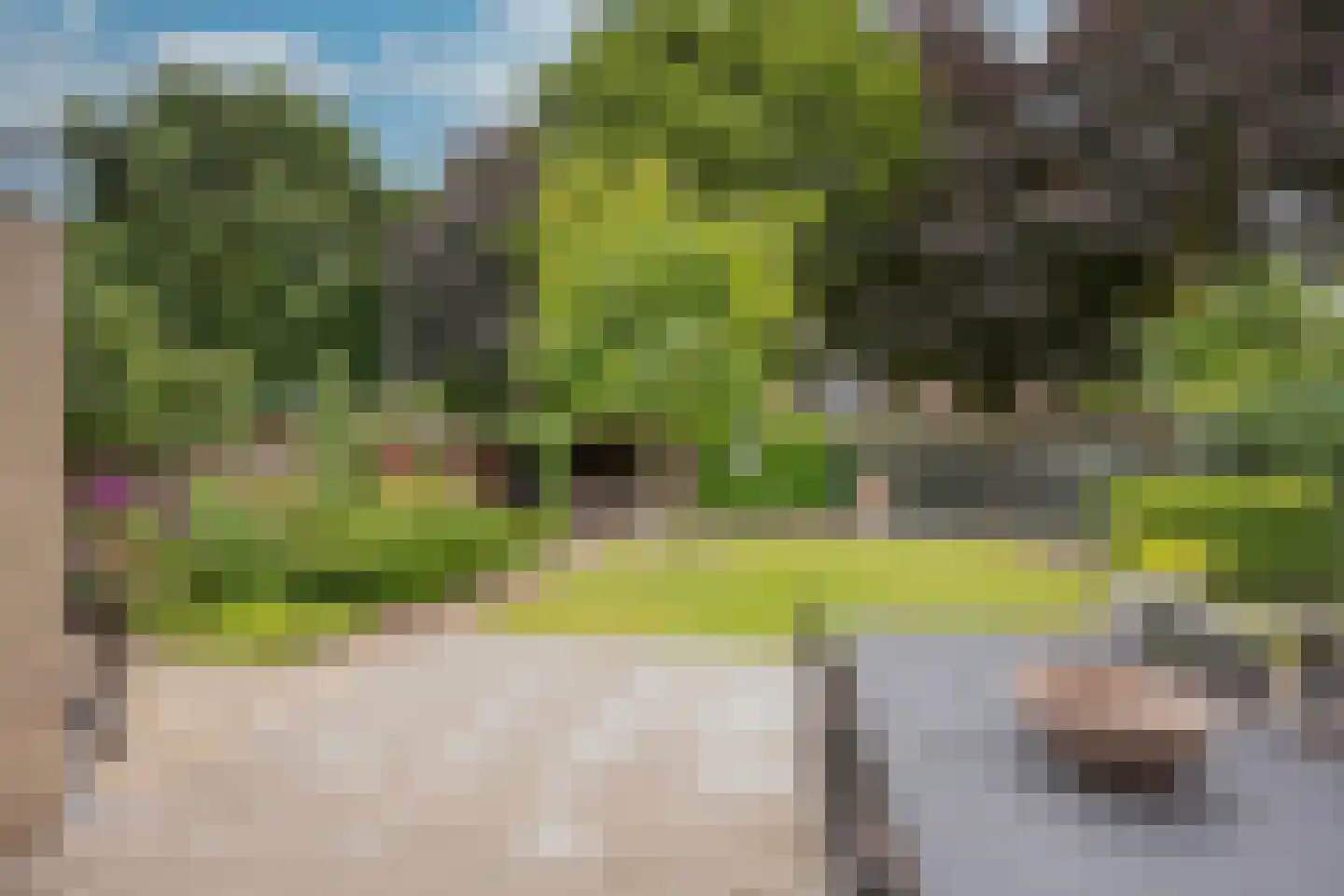 Van Goghlaan 1 Nijkerk foto 3