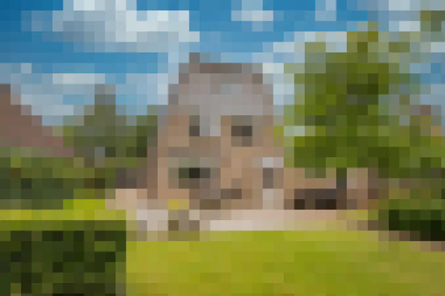 Van Goghlaan 1 Nijkerk thumbnail 35