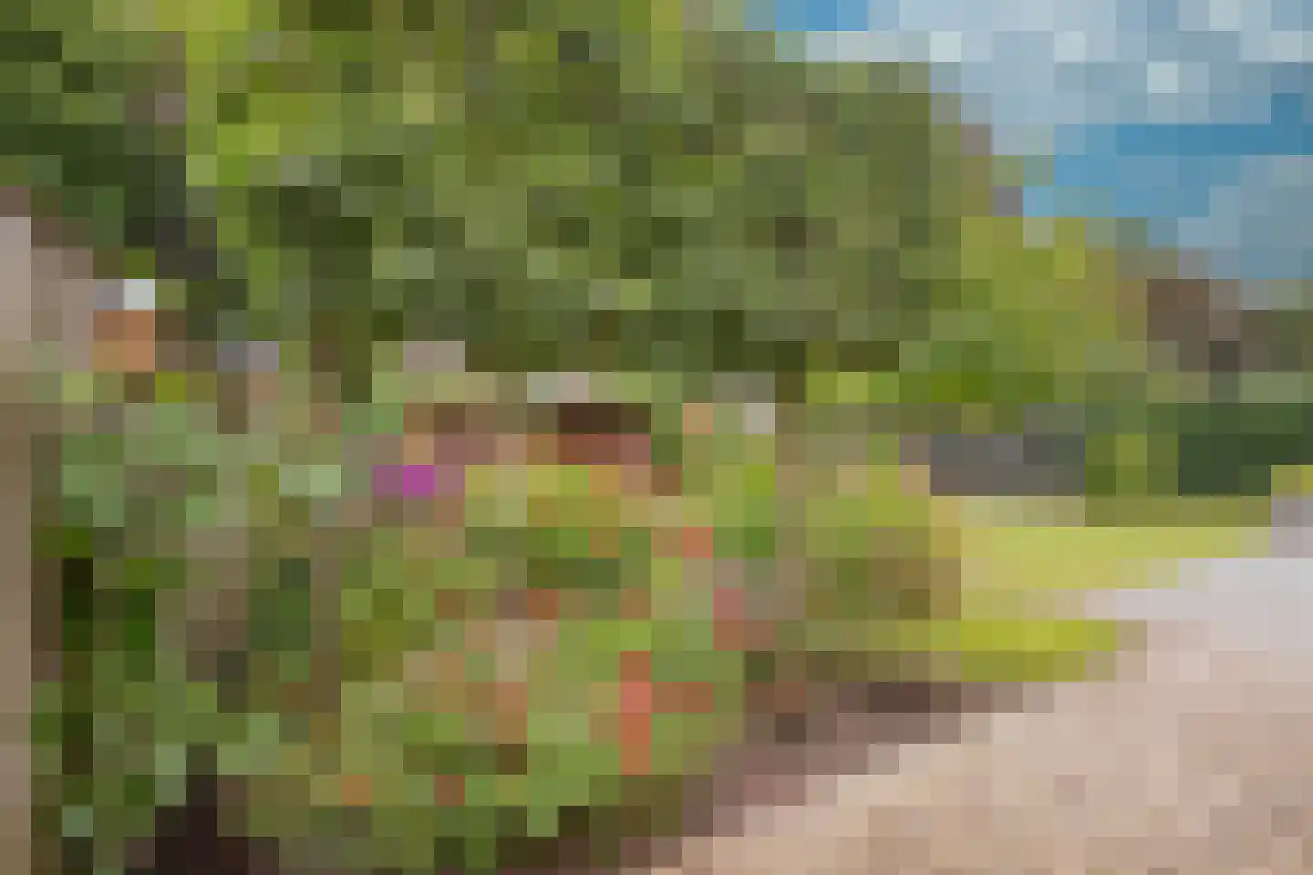 Van Goghlaan 1 Nijkerk thumbnail 37
