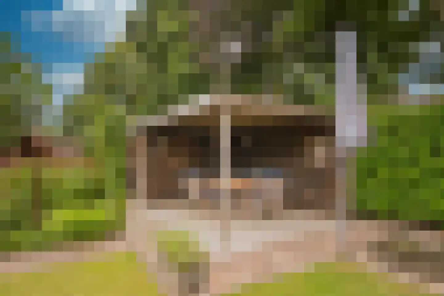 Van Goghlaan 1 Nijkerk thumbnail 38