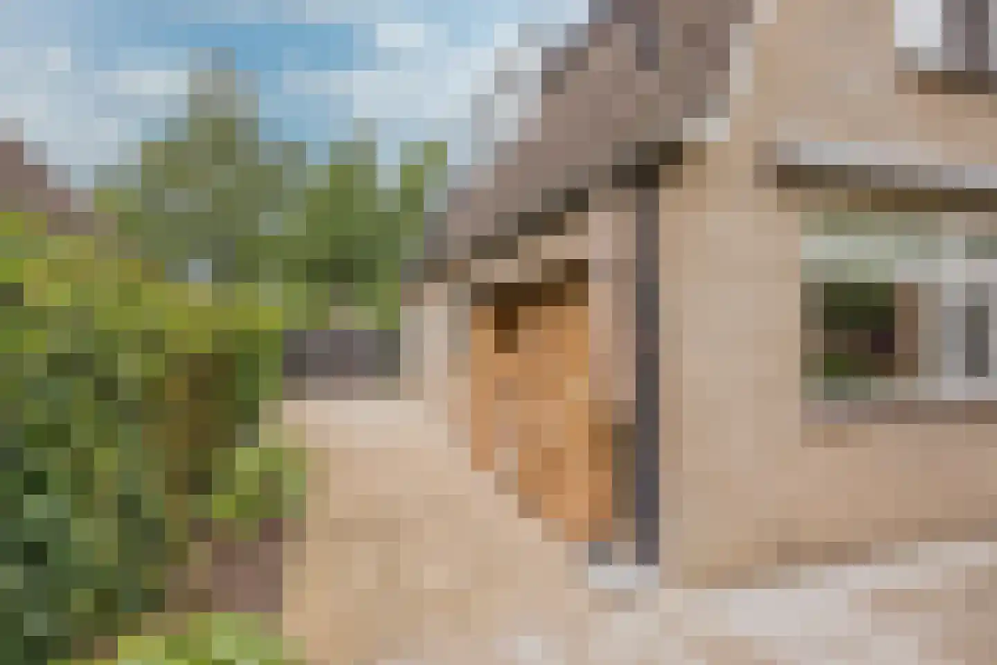 Van Goghlaan 1 Nijkerk thumbnail 39