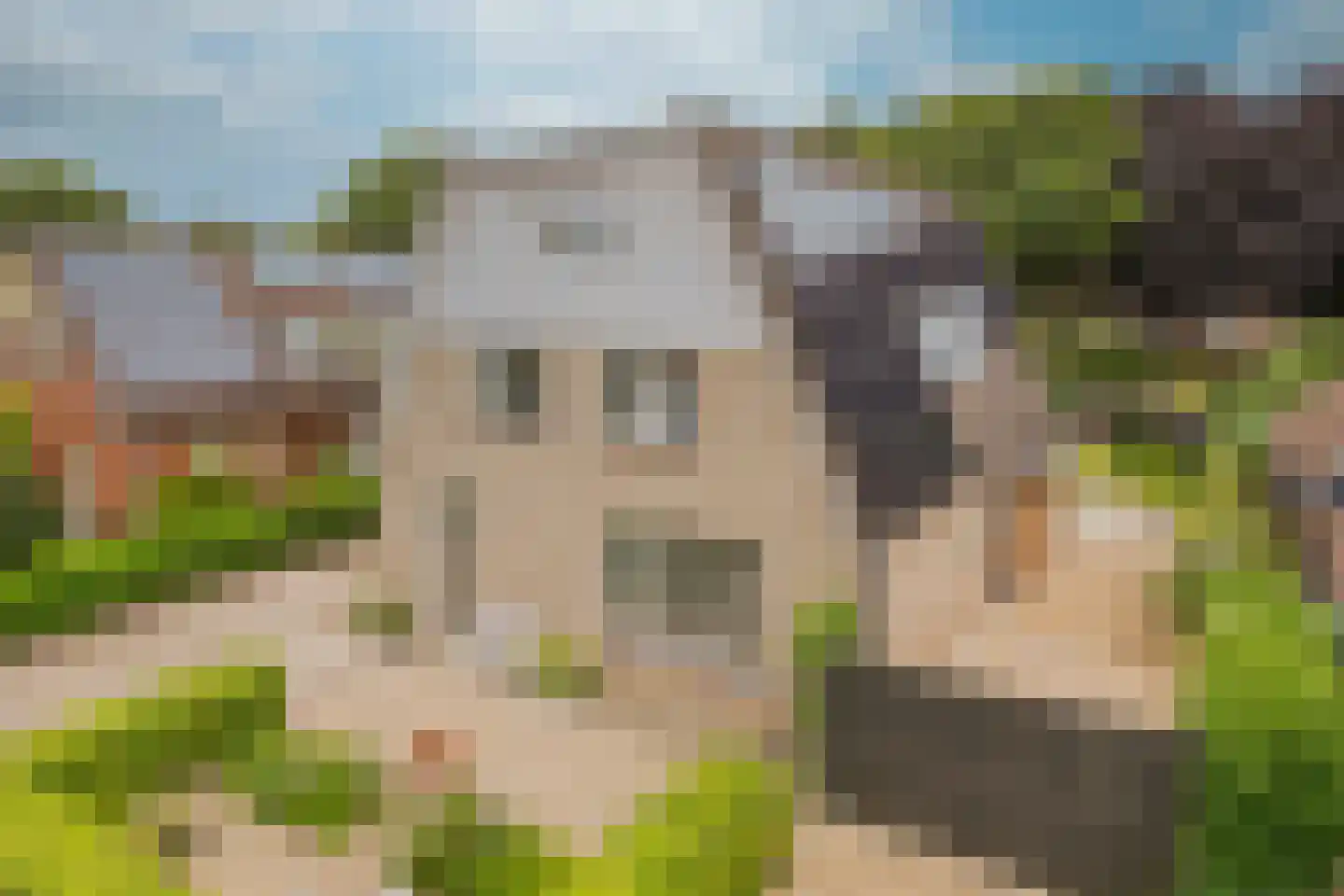 Van Goghlaan 1 Nijkerk thumbnail 42