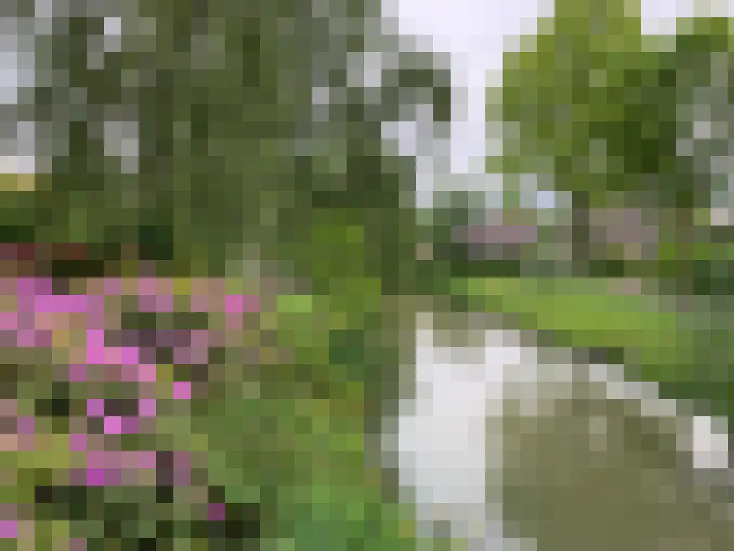 Van Goghlaan 1 Nijkerk thumbnail 49