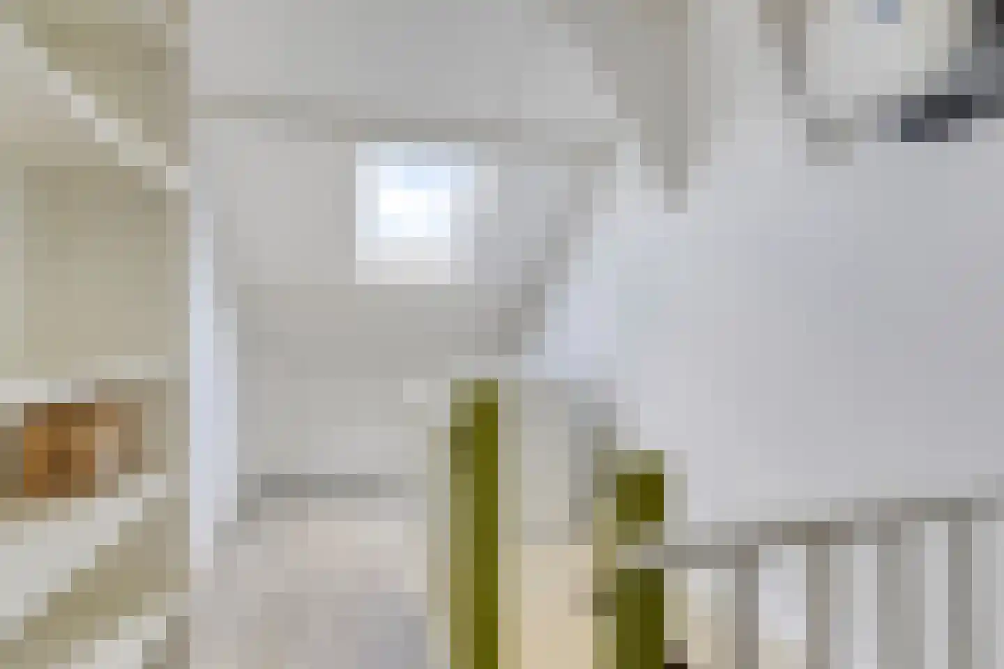 van Goghlaan 1 Scherpenzeel thumbnail 25