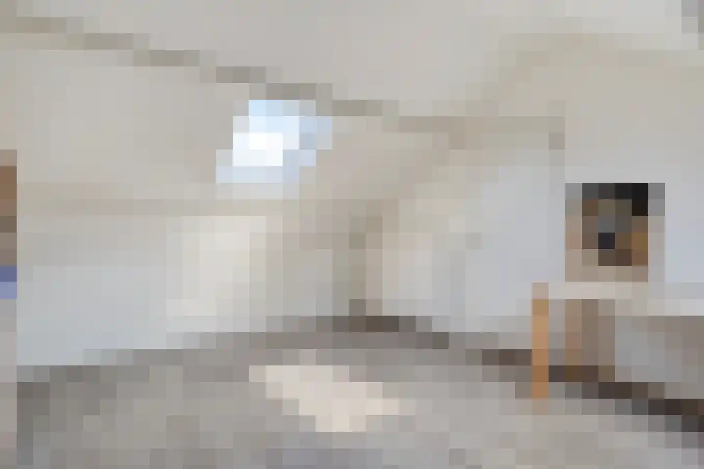 van Goghlaan 1 Scherpenzeel thumbnail 27