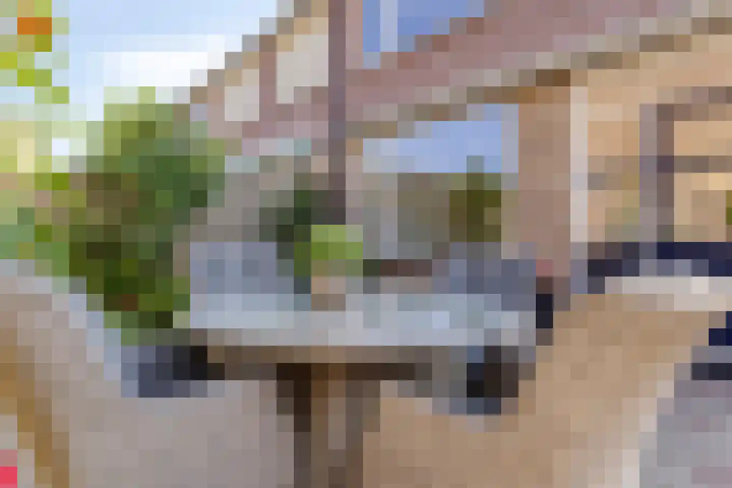 van Goghlaan 1 Scherpenzeel thumbnail 29