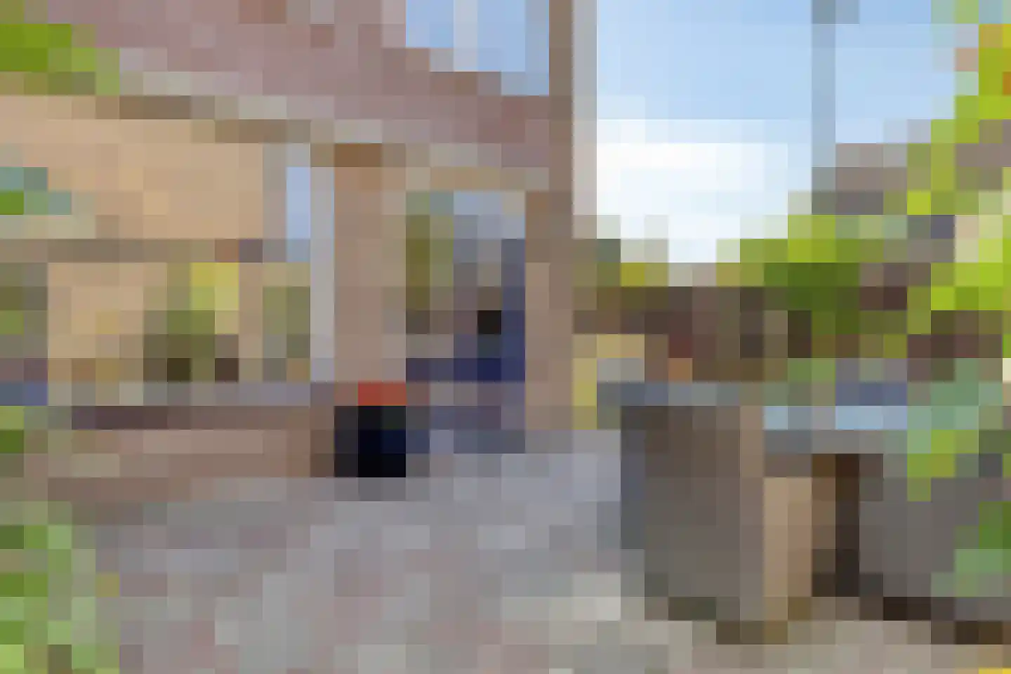 van Goghlaan 1 Scherpenzeel thumbnail 30