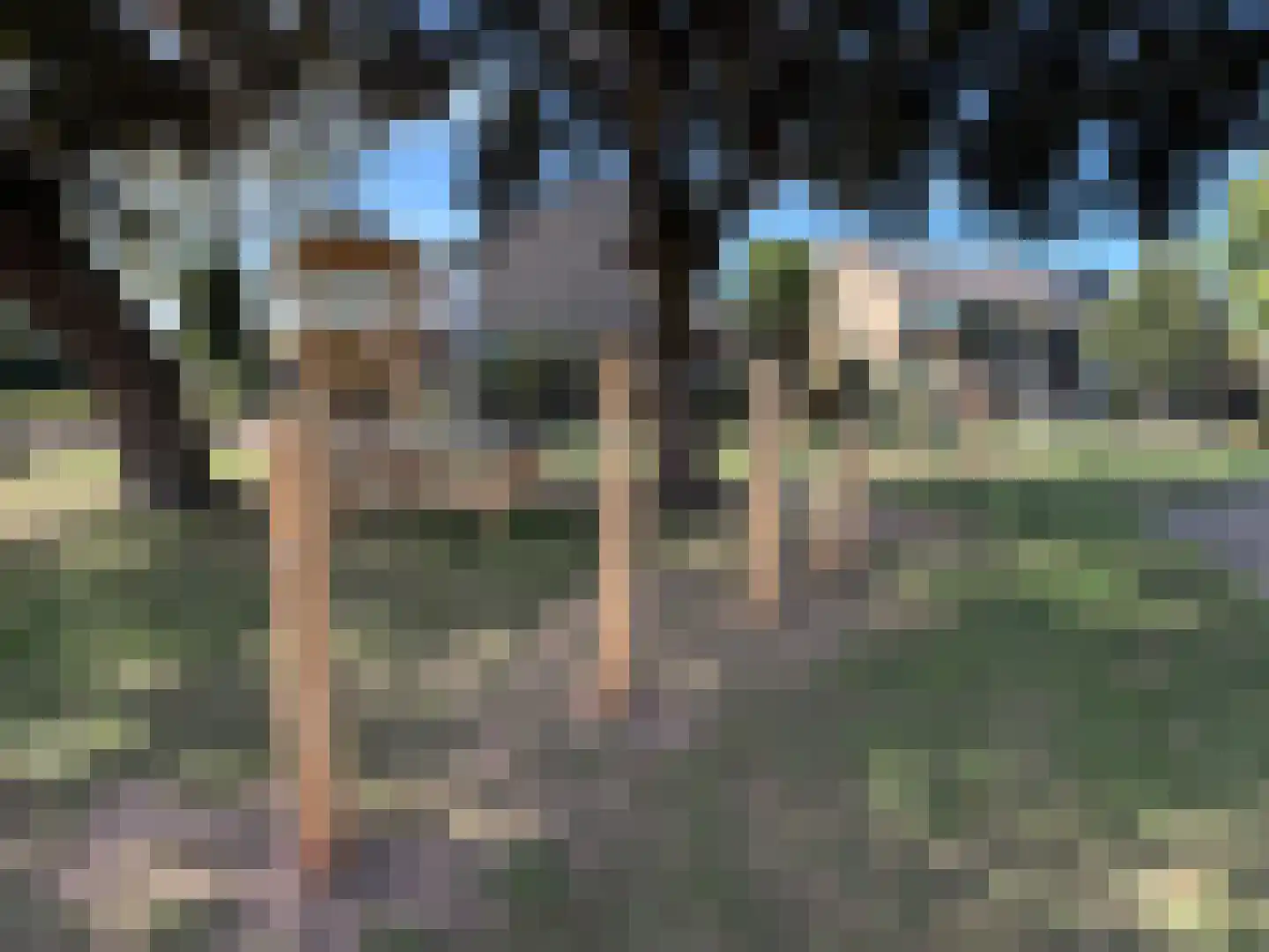 van Goghlaan 1 Scherpenzeel thumbnail 40