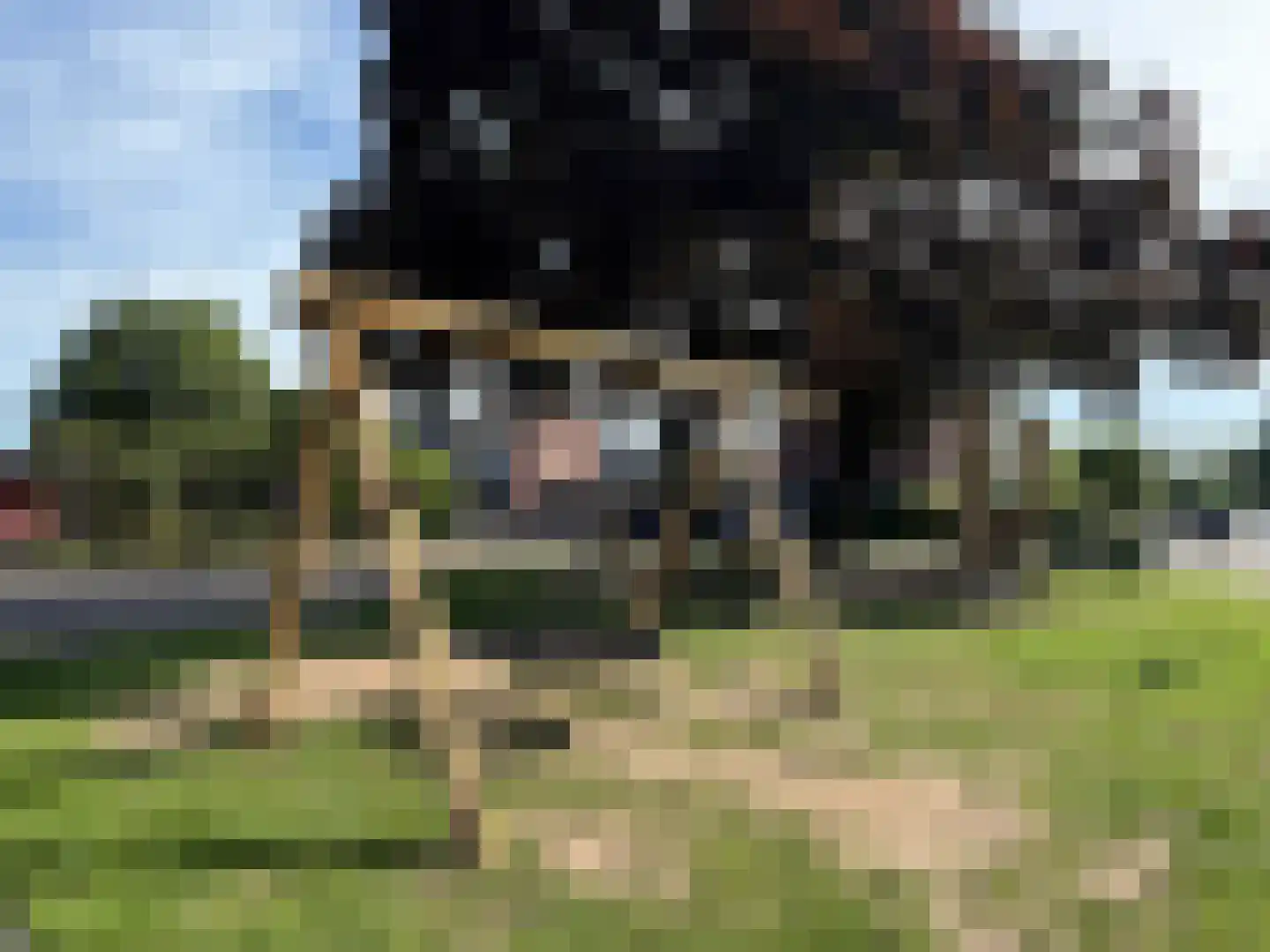 van Goghlaan 1 Scherpenzeel thumbnail 41