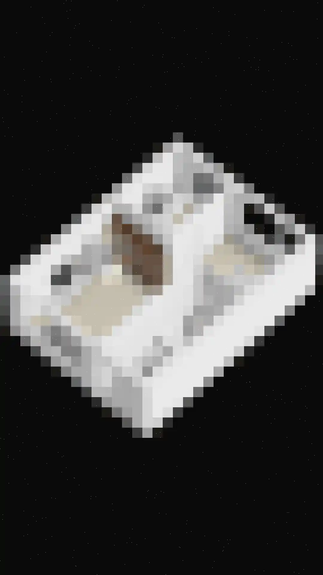 van Goghlaan 1 Scherpenzeel thumbnail 47