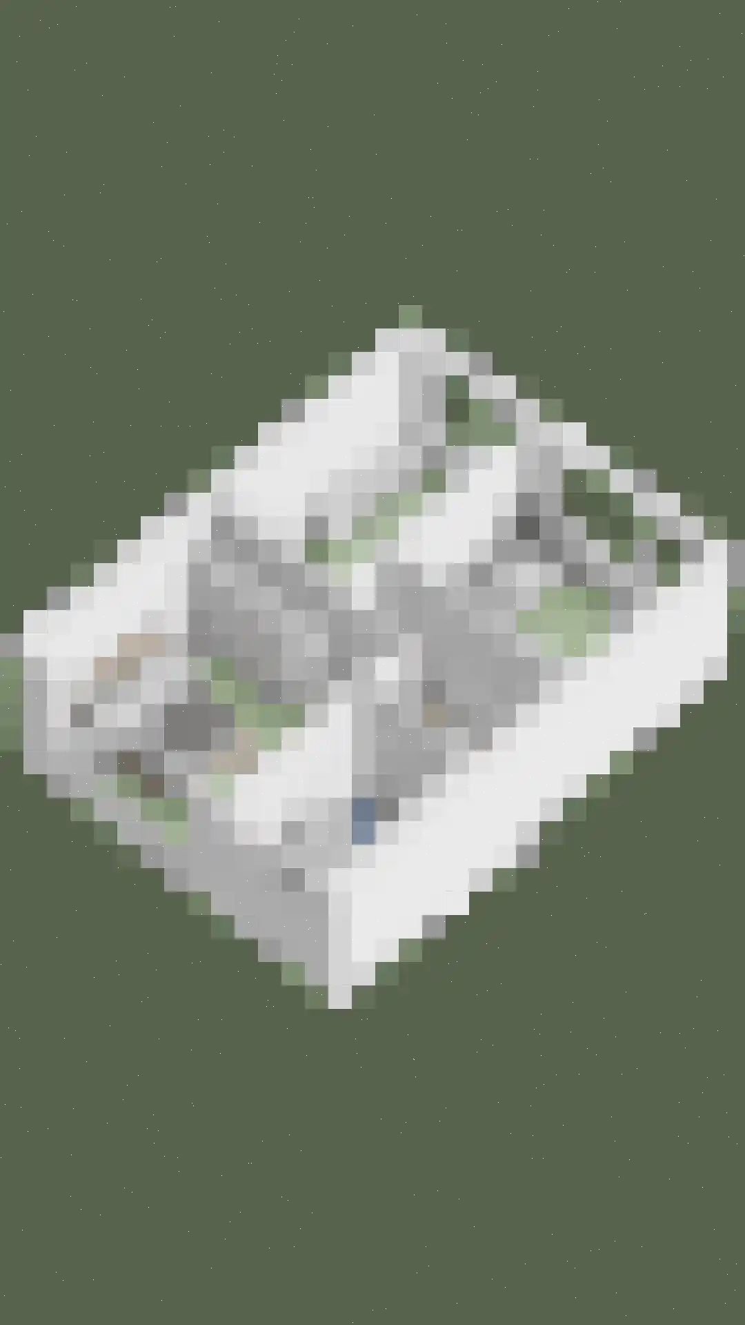 van Goghlaan 1 Scherpenzeel thumbnail 48