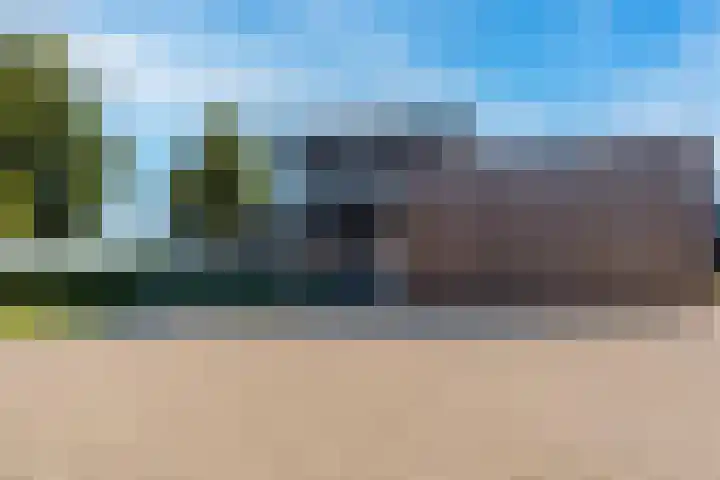Van Goghlaan 1 Veendam thumbnail 10
