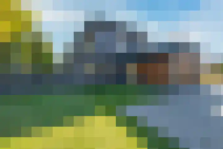 Van Goghlaan 1 Veendam thumbnail 11