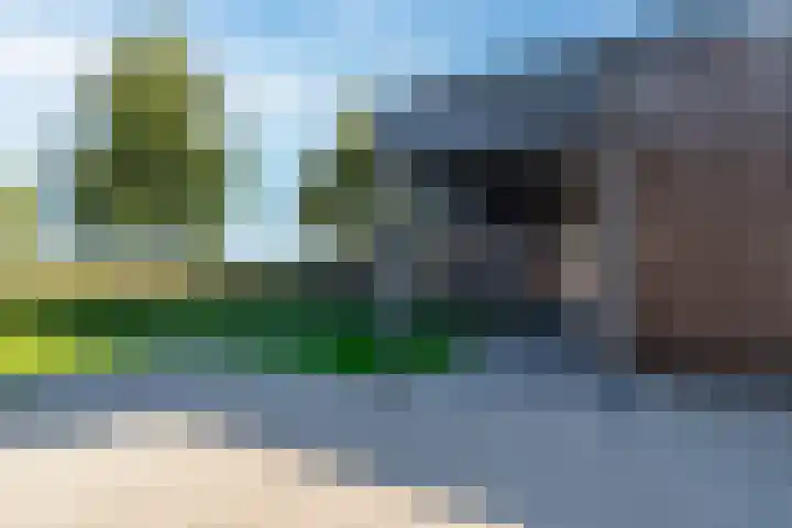 Van Goghlaan 1 Veendam thumbnail 12