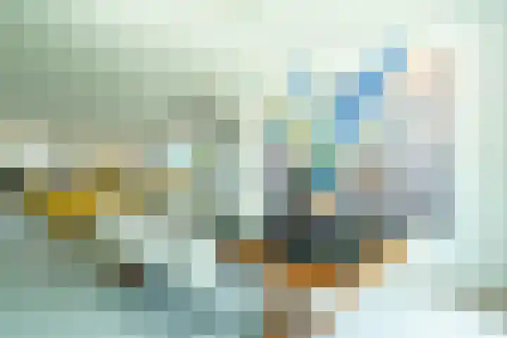 Van Goghlaan 1 Veendam thumbnail 23
