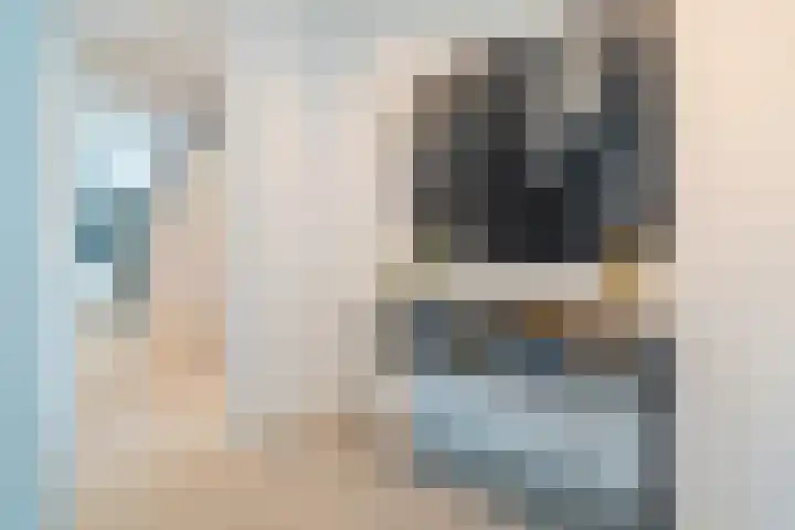 Van Goghlaan 1 Veendam thumbnail 31