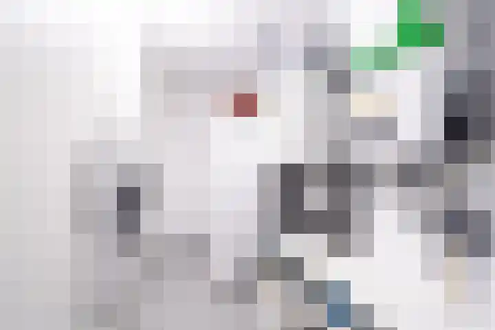 Van Goghlaan 1 Veendam thumbnail 40