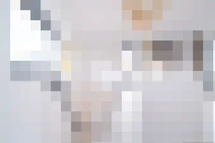 Van Goghlaan 1 Veendam thumbnail 47