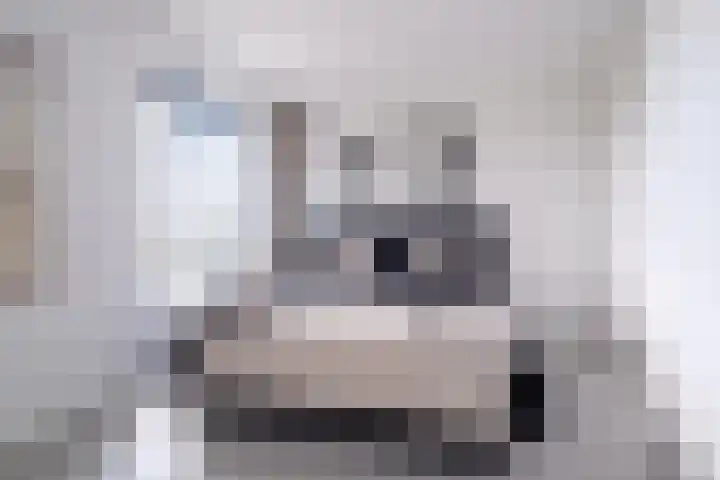 Van Goghlaan 1 Veendam thumbnail 53