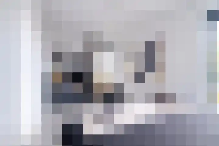 Van Goghlaan 1 Veendam thumbnail 54