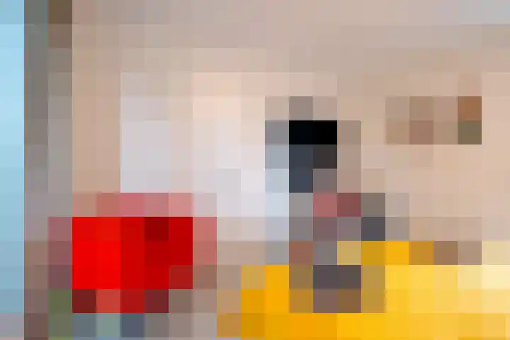 Van Goghlaan 1 Veendam thumbnail 56