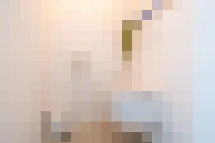 Van Goghlaan 1 Veendam thumbnail 59