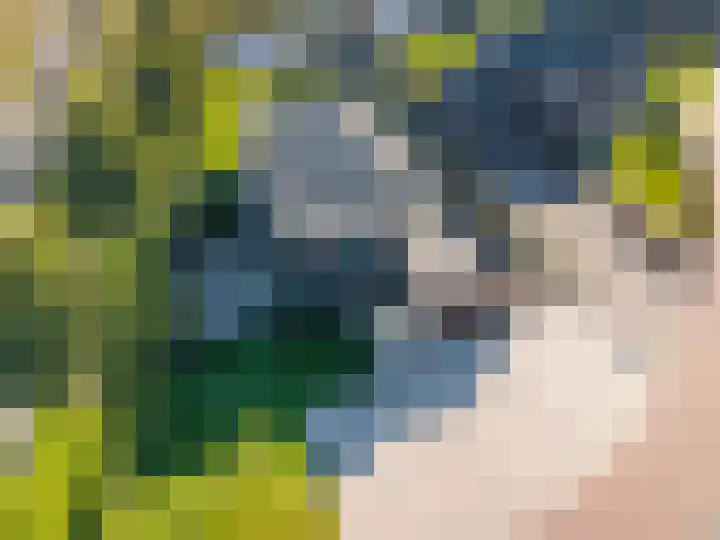 Van Goghlaan 1 Veendam thumbnail 72