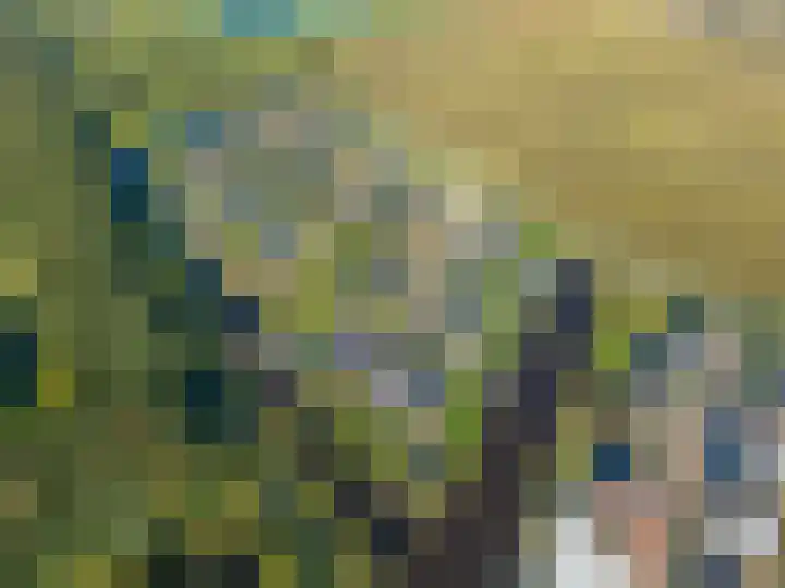 Van Goghlaan 1 Veendam thumbnail 75