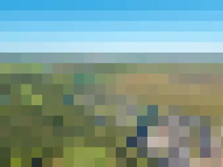 Van Goghlaan 1 Veendam thumbnail 76